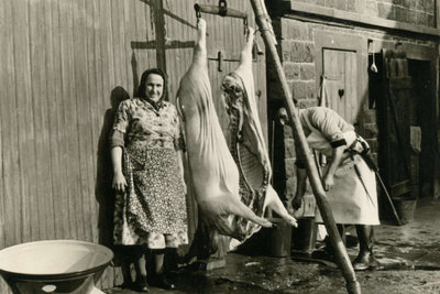 Hausschlachtung in Miesenbach 1961