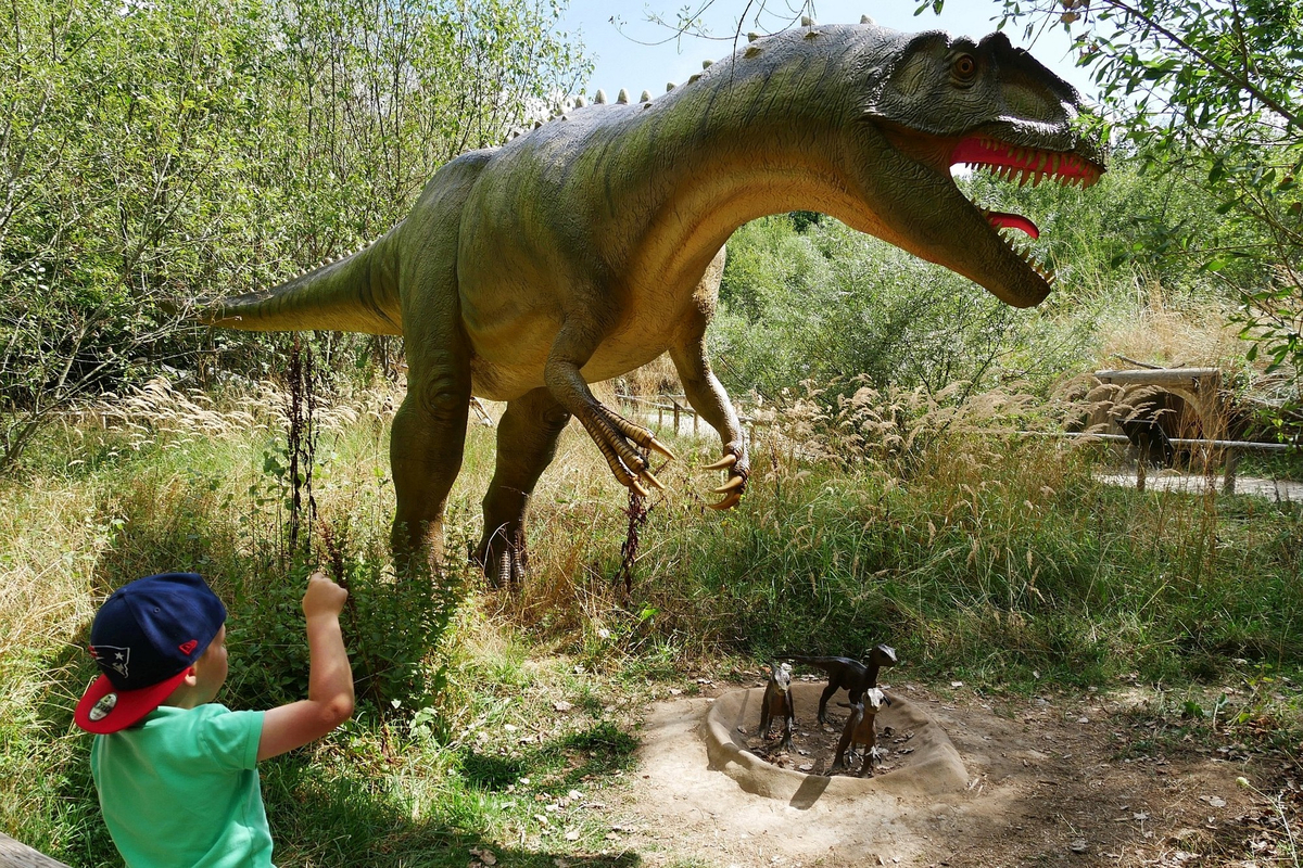 Lebensgroßes Modell des Allosaurus, ein fleischfressender Dinosaurier, betrachtet von einem kleinen Jungen