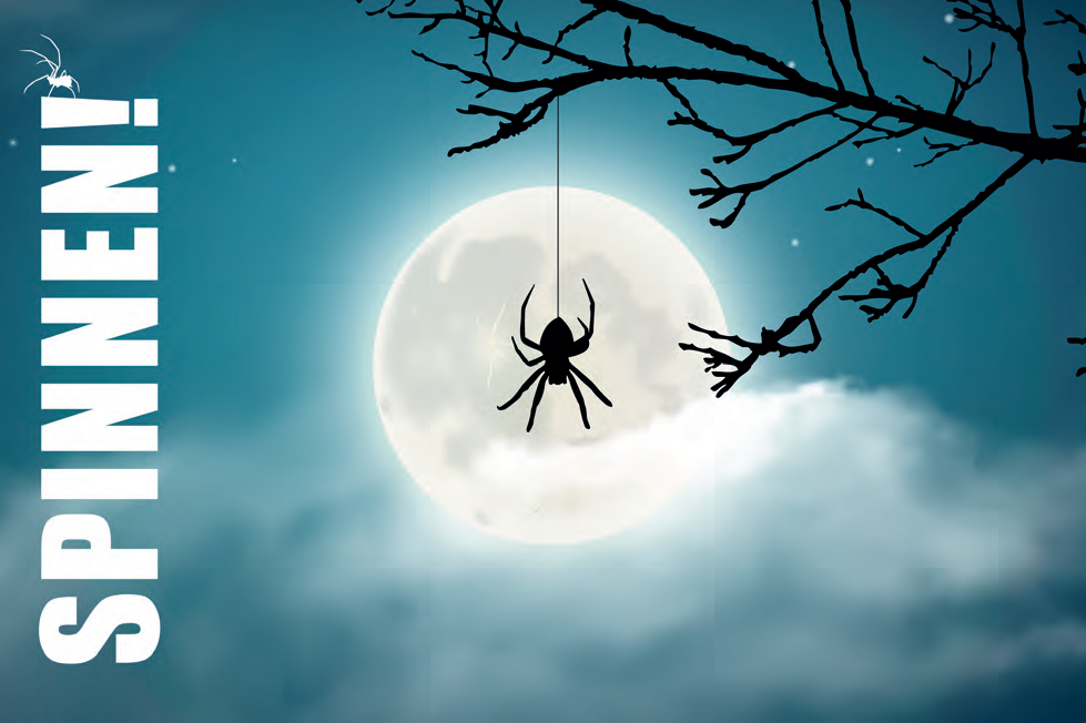 Von einem Baum baumelnde Spinne im Mondlicht.