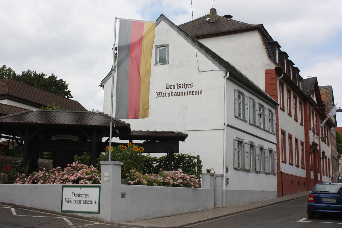 Die Gebäude des Deutschen Weinbaumuseums.