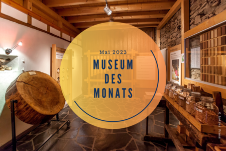 Holz ist ein sinnlicher Rohstoff – große und kleine Gäste haben im Hunsrücker Holzmuseum die Gelegenheit, Holz zu sehen, fühlen, hören, riechen und schmecken.